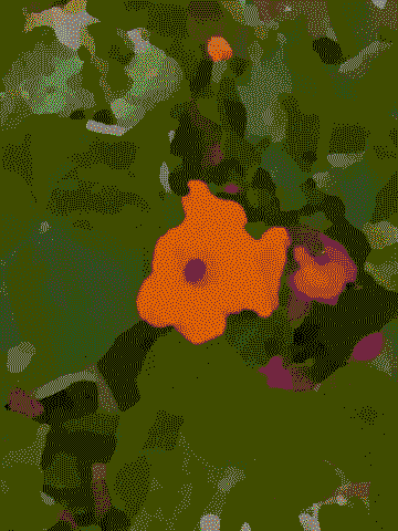 Dithered video GIF