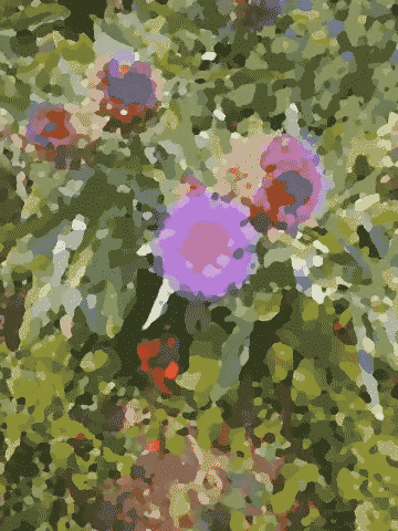 Dithered video GIF